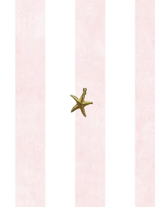 Starfish Charm