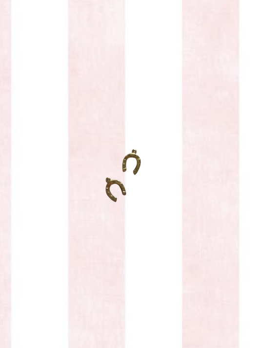 Horseshoe Charm
